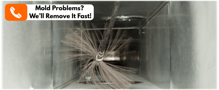 Air Duct Mold Removal in Scottsdale