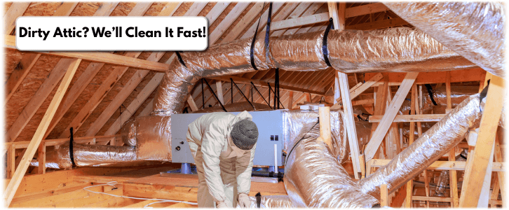 Attic Cleaning Scottsdale