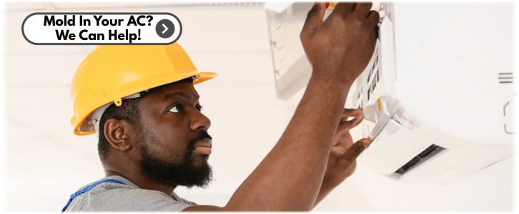 HVAC Mold Removal Scottsdale